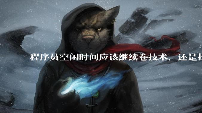 程序员空闲时间应该继续卷技术，还是找其他副业？