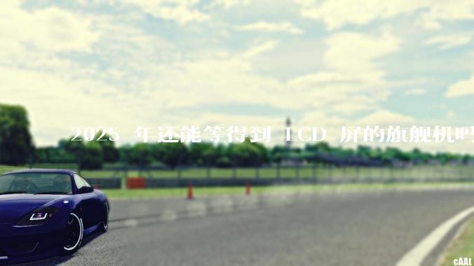 2025 年还能等得到 LCD 屏的旗舰机吗？