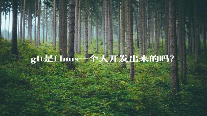 git是Linus一个人开发出来的吗？