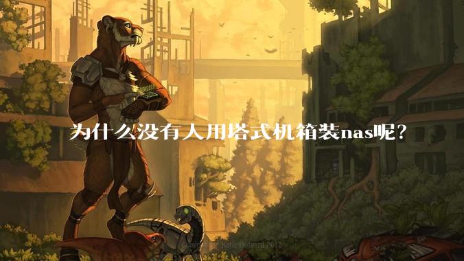 为什么没有人用塔式机箱装nas呢？
