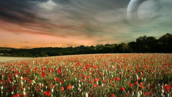 postgresql能取代mongodb吗？